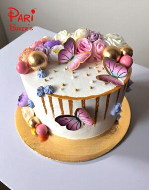 pb butterfly 021